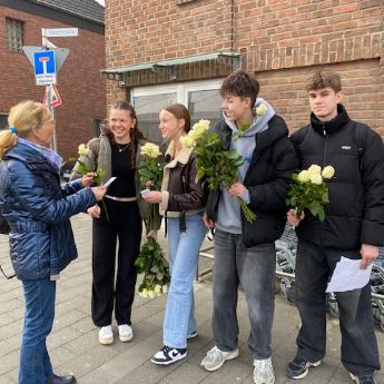Weiße_Rose_Stommeln_2